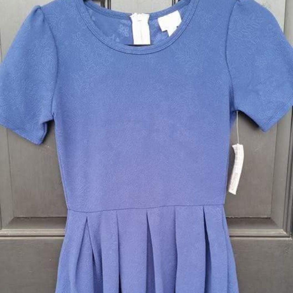 nwt Lularoe Amelia dress